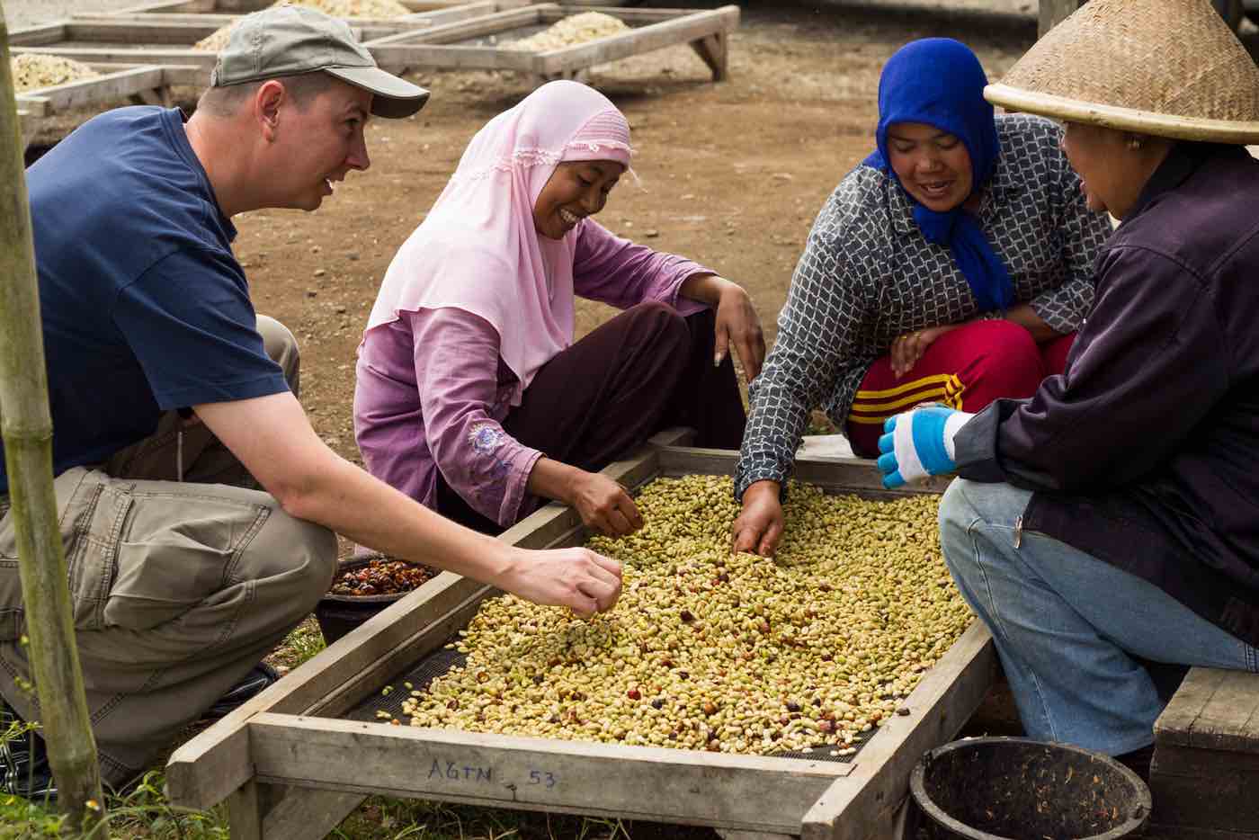 Sorting Sumatran Coffee