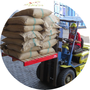 Santiang Coffee on forklift